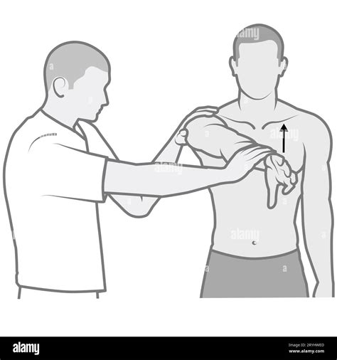 how to compression test a rotary|o'brien test for shoulder impingement.